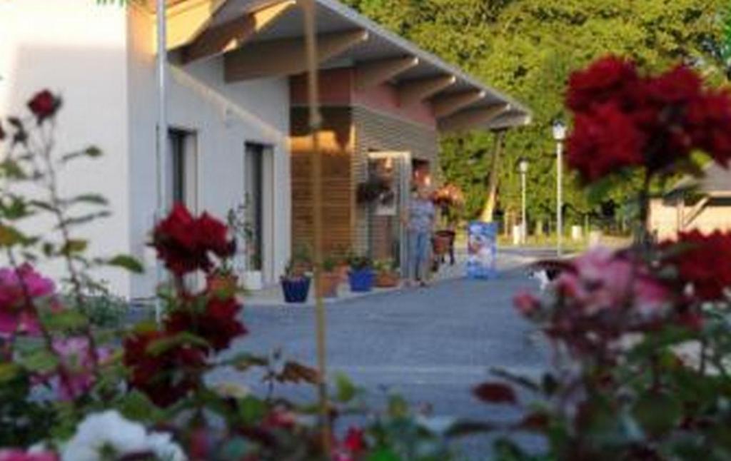 Camping Au Bord De L'Aisne Guignicourt Exteriör bild